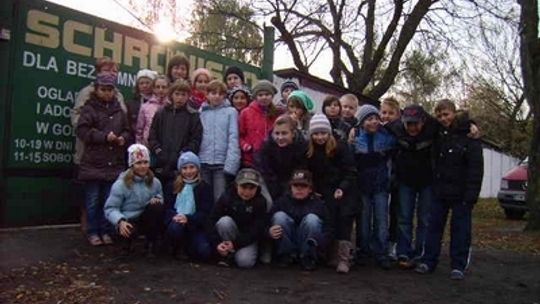 Kolejni mali goście w schronisku