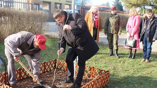 Kolejny Dąb z okazji 100 lecia odzyskania niepodległości posadzony