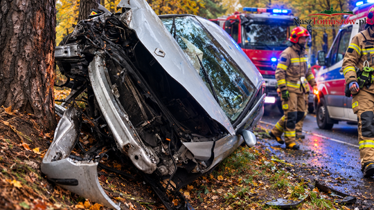 Kolejny wypadek na DK48 w Teofilowie. Samochód uderzył w drzewo. Na tej trasie dochodziło już do tragedii