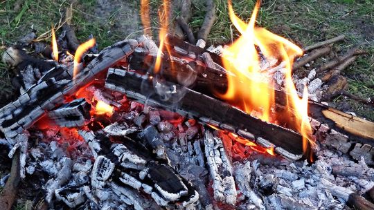 Kolonie dla dzieci – samodzielne wakacje sprzyjające rozwojowi