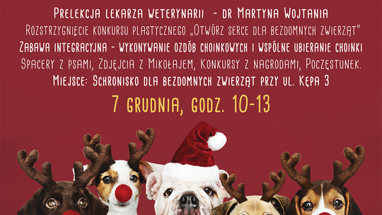 KONKURS PLASTYCZNY "OTWÓRZ SERCE DLA BEZDOMNYCH ZWIERZĄT"