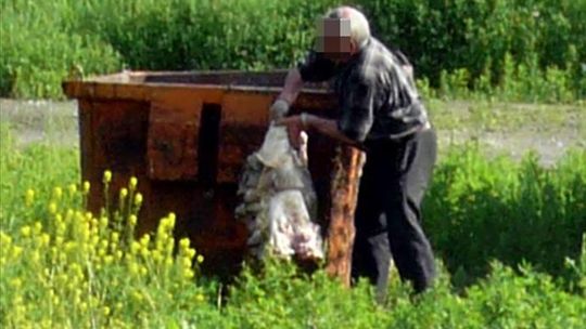 Koszmarne odkrycie dziennikarzy Faktu