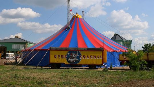 "Krasnal" w Tomaszowie