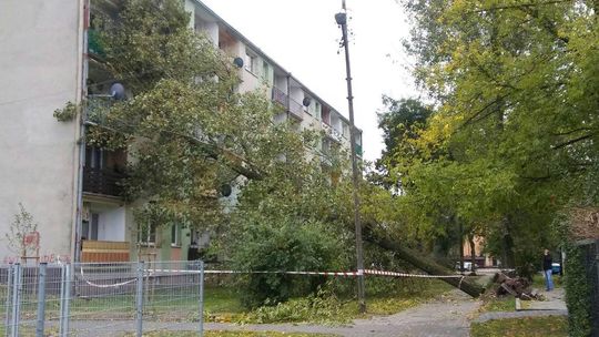 Ksawery dał nam się we znaki