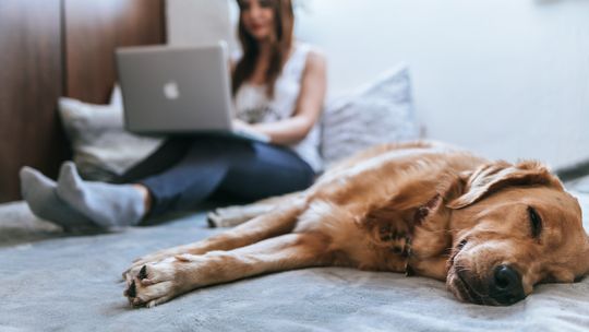 Kto jeszcze nie jest przekonany do płatności internetowych?