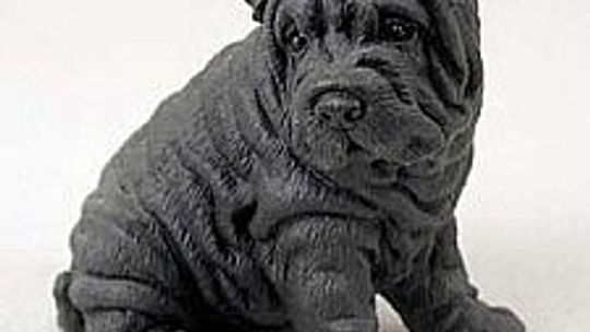 Kto zgubił Shar Pei?
