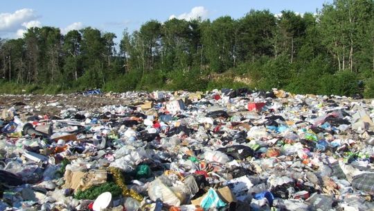 Ktoś zarobił, stracili Tomaszowianie
