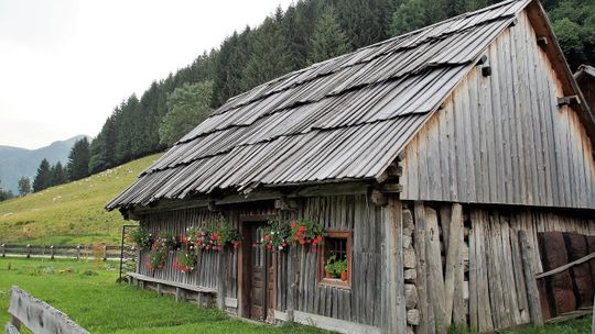 Kupię dom o wartości deklarowanej przez radnego