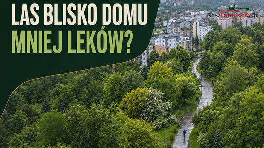 Las dziesięć minut od domu. Badanie: mniej recept na leki przeciwdepresyjne