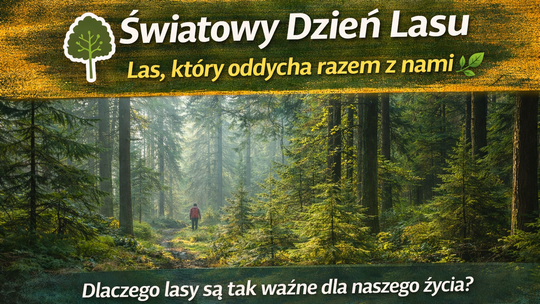 Las, który oddycha razem z nami. Dziś obchodzimy Światowy Dzień Lasu