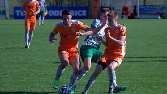 Lechia gromi NER