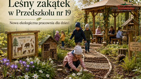 Leśny zakątek przy Przedszkolu nr 19. Zdegradowany plac zmieni się w mały las