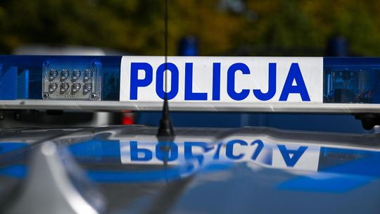 Łódź: blisko setka psów przetrzymywanych w mieszkaniu; prokuratura nadzoruje postępowanie