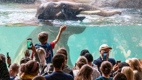 Łódź: pierwsi goście odwiedzili Orientarium w ogrodzie zoologicznym