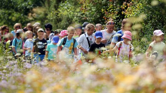 Łódzki Dom Kultury zaprasza wszystkie dzieci w podróż „Kolorową Lokomotywą”