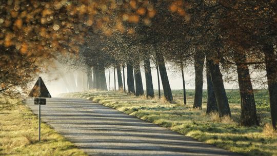 Łódzkie/ 325 mln zł na inwestycje na drogach wojewódzkich w przyszłym roku
