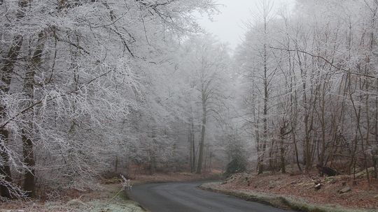 Łódzkie/ Ostrzeżenie przed oblodzeniem dla całego regionu
