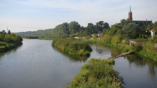Łódzkie/ Podnosi się stan Pilicy w Sulejowie
