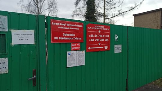 Lubisz zwierzęta? Potrafisz się nimi zajmować? Masz talent organizacyjny? Zgłoś się
