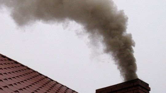 Mało kontroli, mało mandatów... truciciele mają się dobrze