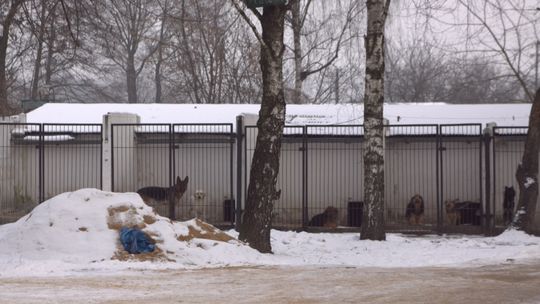 „Marsz milczenia” – a wszyscy stali i gadali.