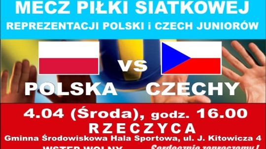Mecz piłki Siatkowej Polska - Czechy