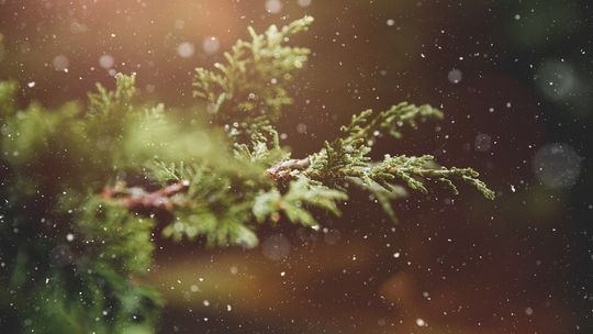 Meteorolog: od poniedziałku koniec zimy, święta w jesiennej aurze, śnieg tylko na wschodzie i w górach