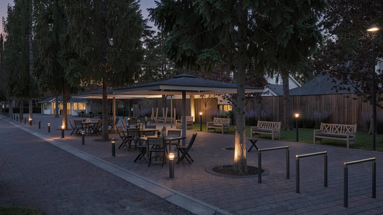 Miasto, które pamięta Kazimierza Wielkiego, znów pisze swoją historię