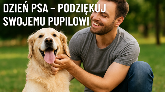 Międzynarodowy Dzień Psa – wyjątkowe święto naszych czworonożnych przyjaciół