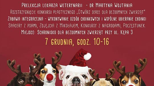 Mikołajkowy Dzień Otwarty w Schronisku  