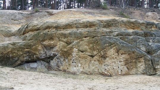 Mimo wszystko uratują