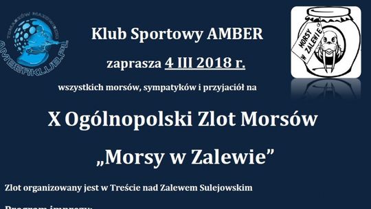 Morsy raz jeszcze w Zalewie