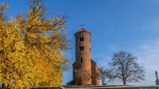 Mówią "NIE" dla wycinki morwy czarnej przy Kościółku św. Idziego w Inowłodzu