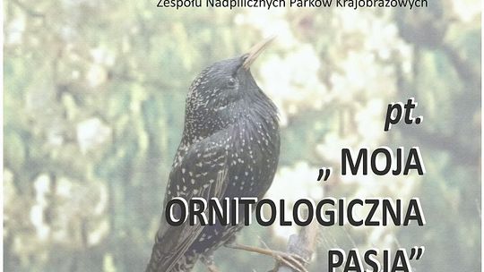 Muzeum zaprasza na spotkanie z ornitologiem