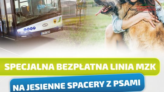 MZK uruchamia bezpłatną linię do „Puszka Okruszka”. W weekend można pojechać na spacer z psiakiem