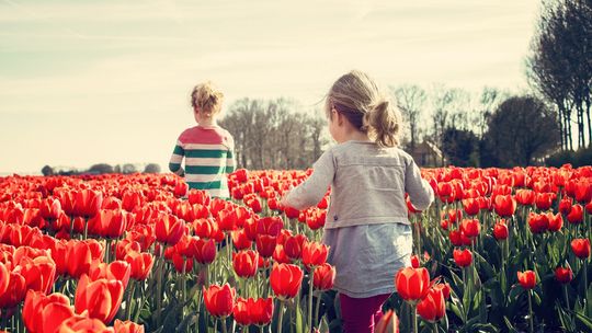 Na co zwrócić uwagę wybierając huśtawkę drewnianą dla dzieci?