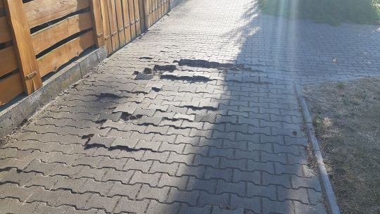 Na Podleśnej potrzebny szybki remont