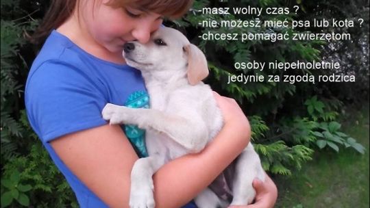 Nabór do wolontariatu w Tomaszowskim Towarzystwie Miłośników i Opieki nad Zwierzętami w Polsce