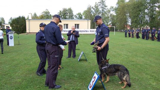 Najlepszy w Polsce