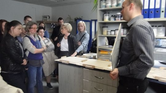 Najwyższa Jakość w Ceramice Paradyż