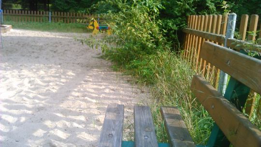 Natura blisko dzieci