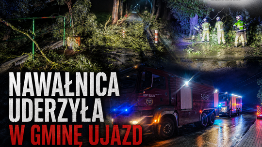 Nawałnica uderzyła w gminę Ujazd. Powalone drzewa, zerwane linie i pożar warsztatu