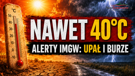 Nawet 40 stopni w Polsce. Czerwone ostrzeżenie IMGW dla Tomaszowa i powiatu