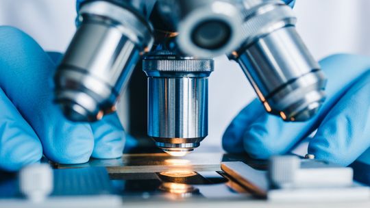 Nie jesteście już skazani na kaprysy natury - szczegółowo o biotechnologii