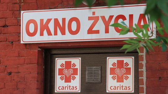 Niemowlę w oknie życia
