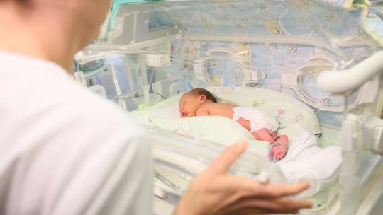 Niemowlęta uczą się rozpoznawać twarze dzięki zapachowi matki