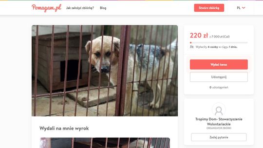 Nikt nie chce uśpić psa