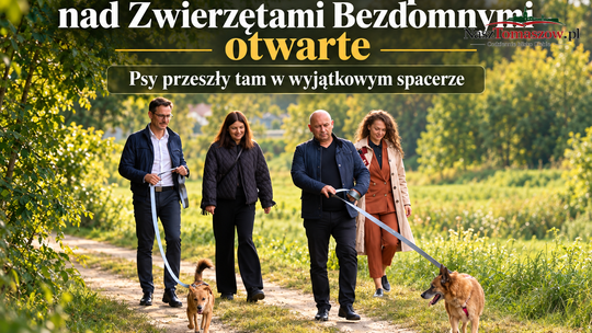 Nowe Centrum Opieki nad Zwierzętami Bezdomnymi otwarte. Psy przeszły tam w wyjątkowym spacerze