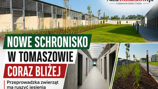 Nowe schronisko w Tomaszowie coraz bliżej. Przeprowadzka zwierząt ma ruszyć jesienią