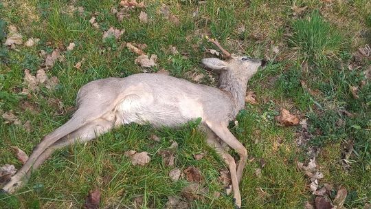 Oby nie doszło do kolejnej tragedii